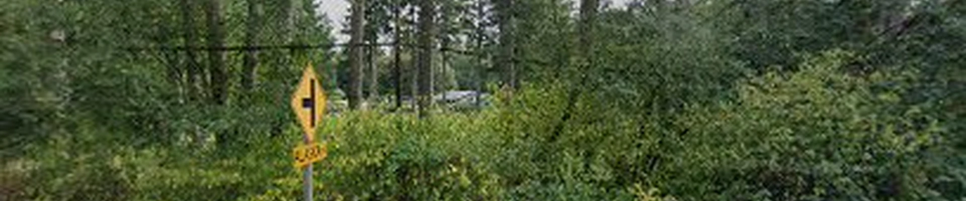 Cains Tree Care Inc