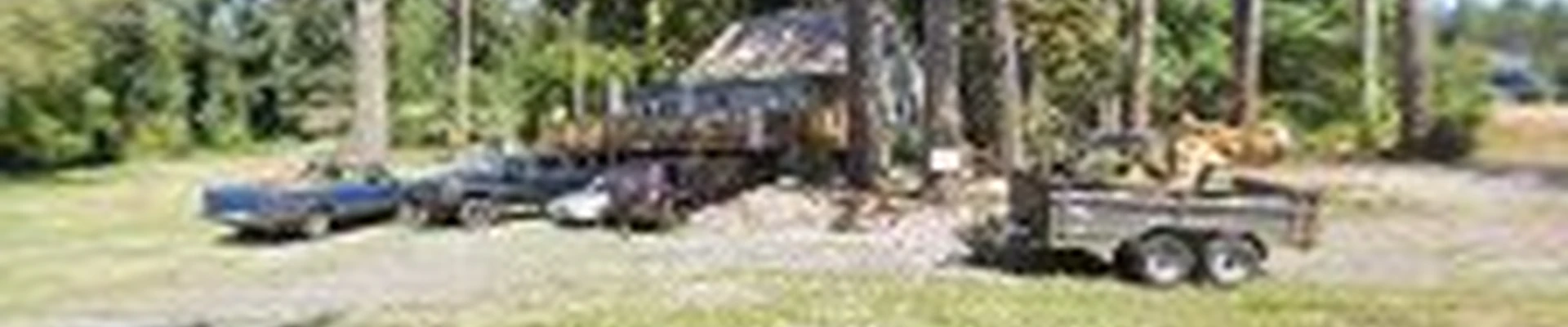 Star Tree Service