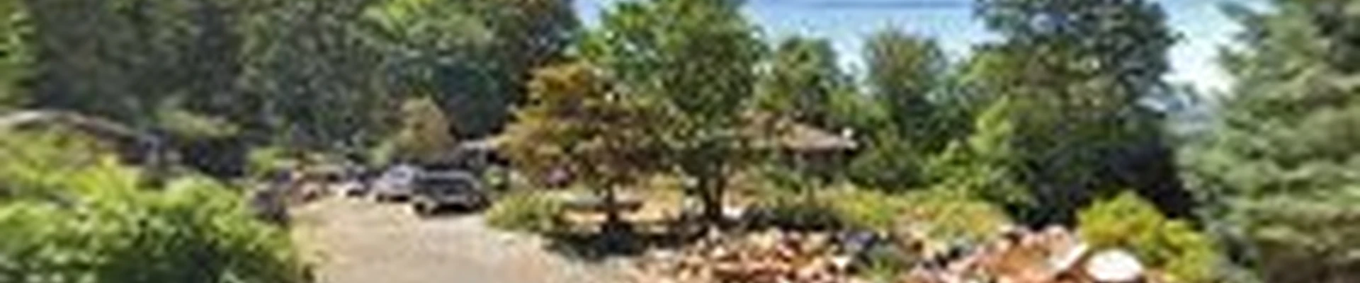 Torrison Tree Service