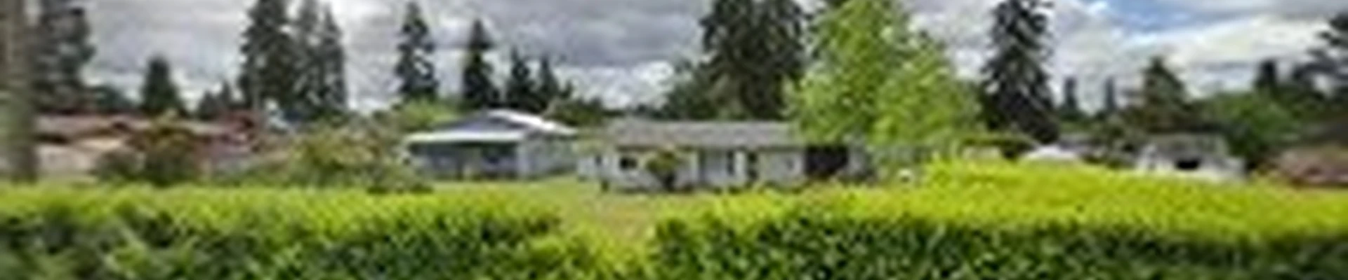 South Hill Tree Services