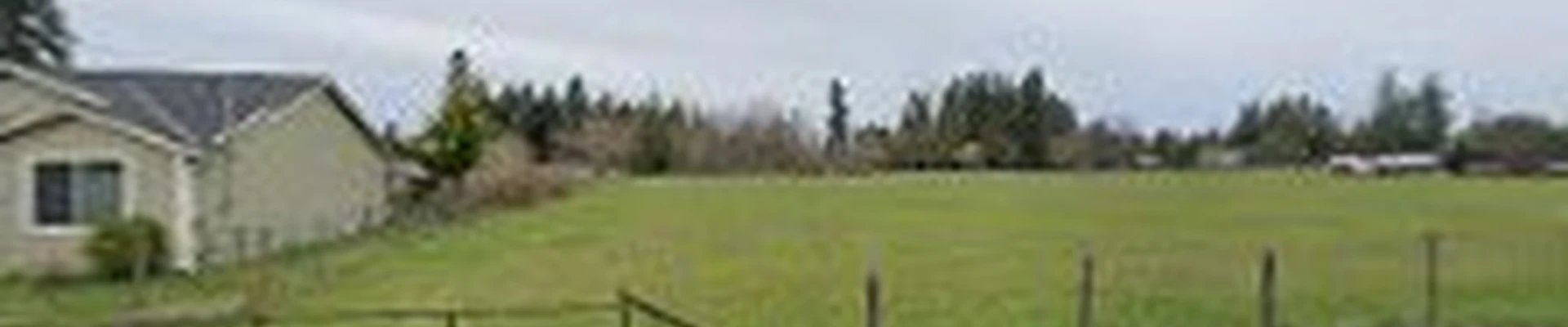 Foothills Stump Grinding & Tree Service