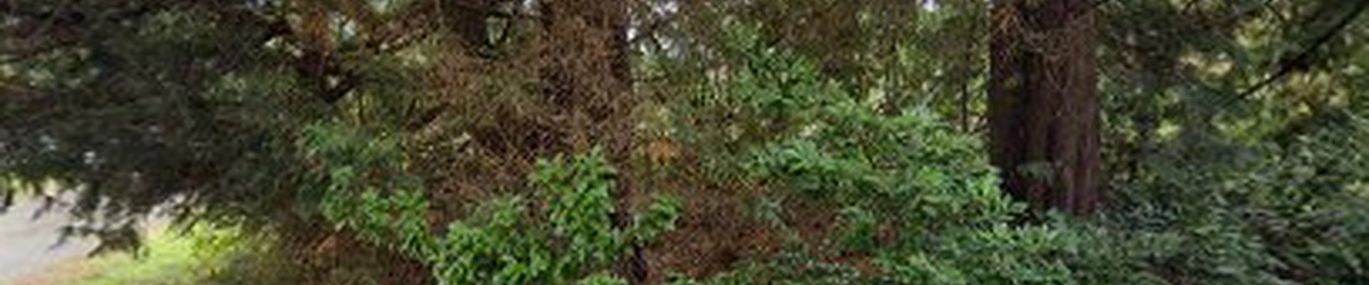 Westerlund Tree Service