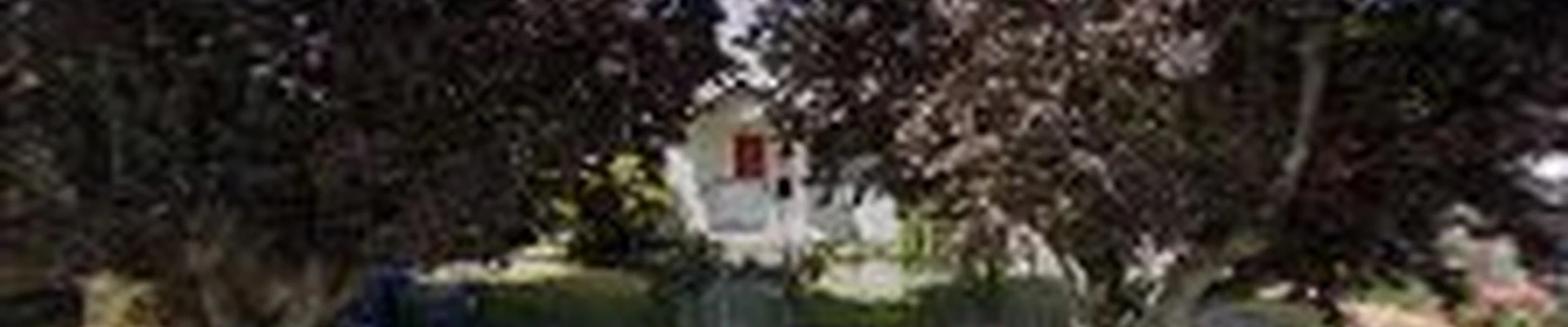 Pacific Tree Services