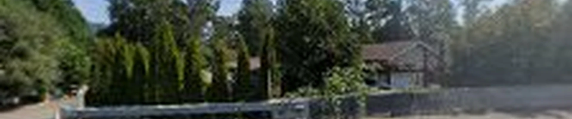 Alta View tree Service