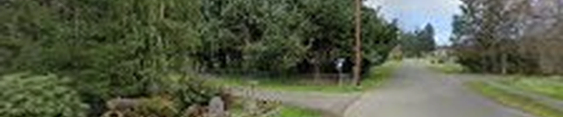 Arbor Tree Care LLC