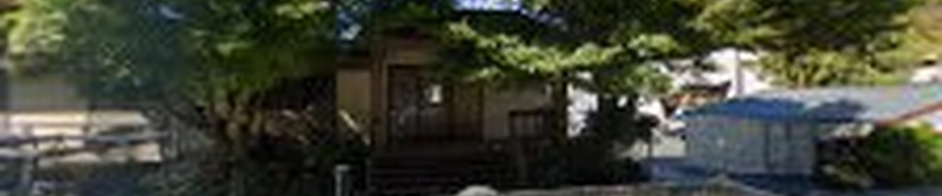 Tree133 Professional Arborists