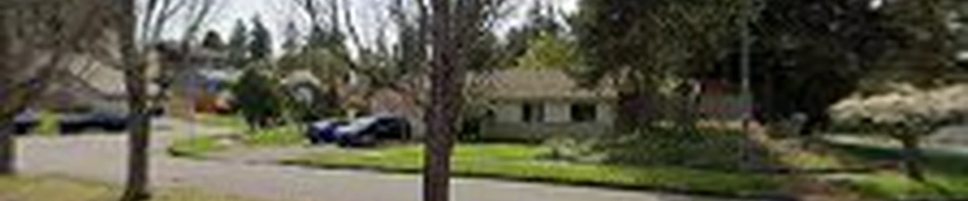 All Pro Tree Care