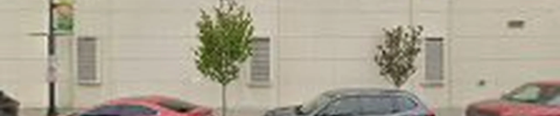 P And D Tree Service