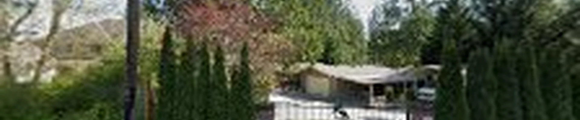 Mast Timber and Tree Care LLC