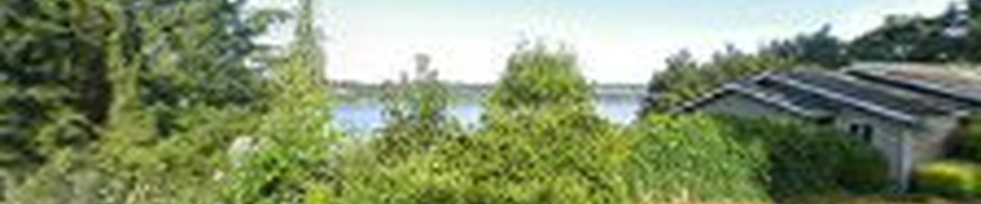 Beckner Tree Care