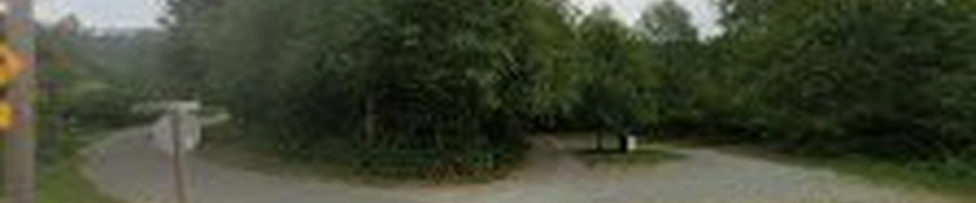 Twin Peaks Brush Clearing LLC