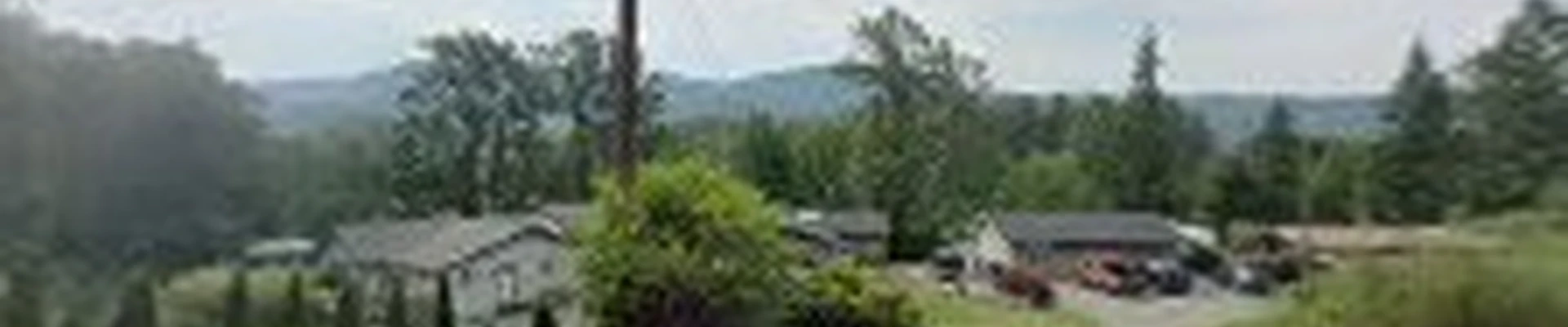 Lineage Tree Care LLC