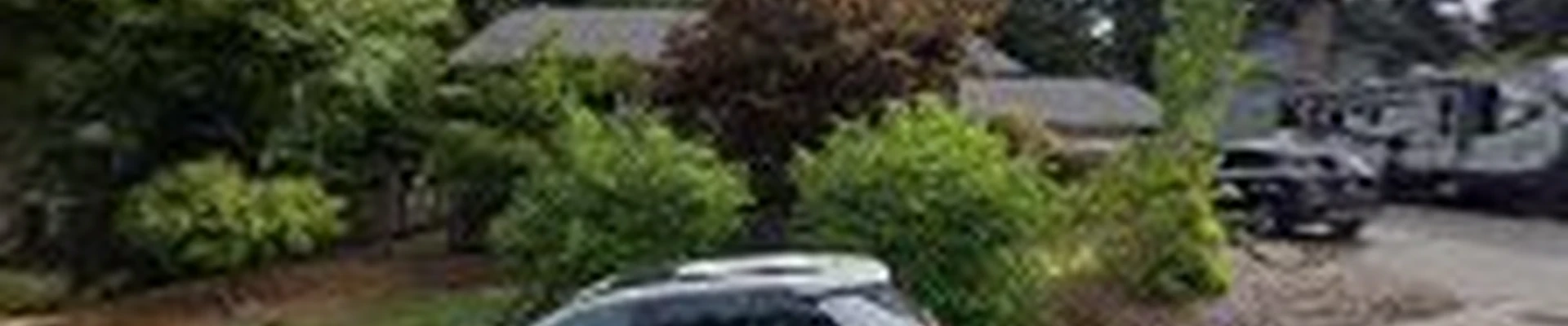 Root Cause Seattle | Urban Arborist & Porous Paving