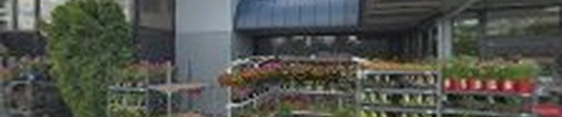 Lowe's Garden Center