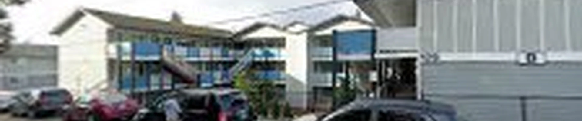 Sturdy Tree Solutions LLC