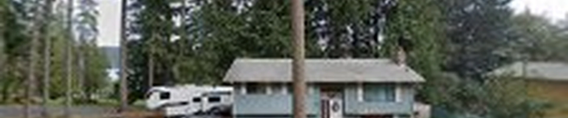 Why Knot Tree Care