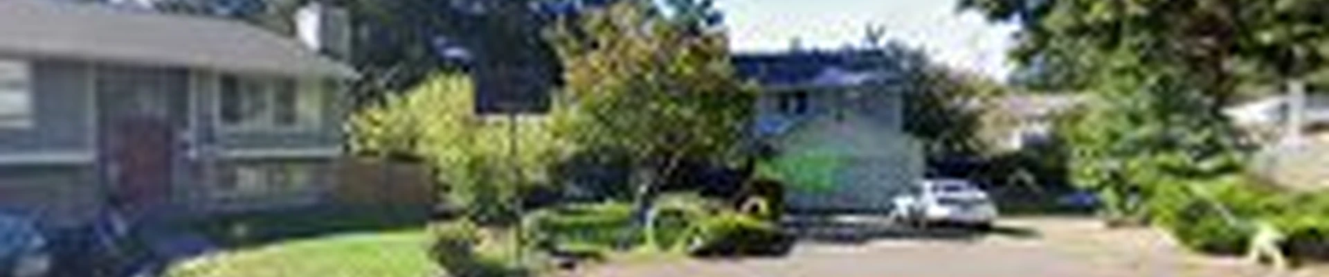 Roots Tree & Property Services L.L.C