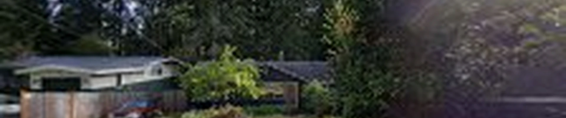 Magic Tree Removal and Trimming Service Of Shoreline