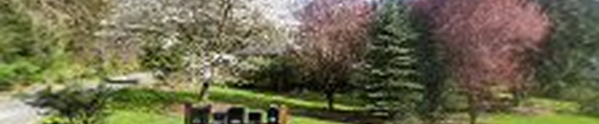 Fine Line Tree Service