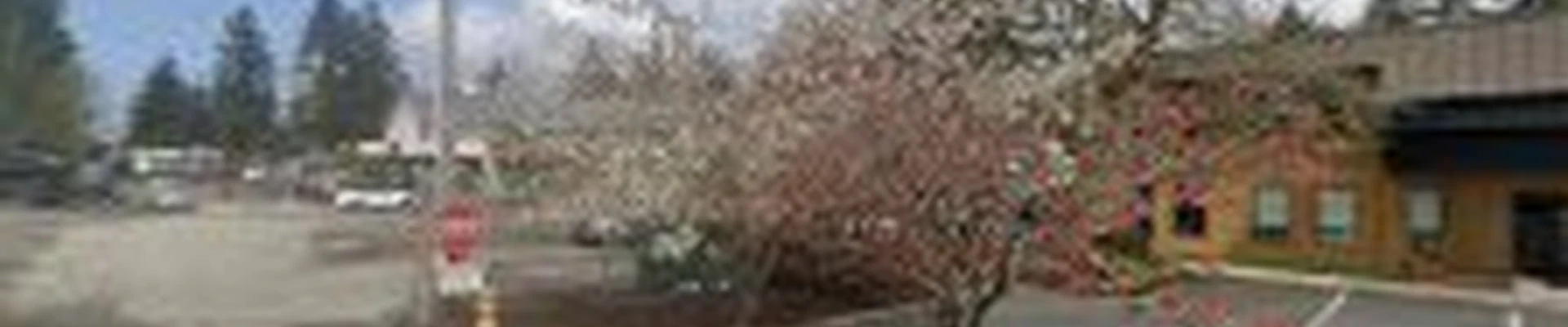 Bartlett Tree Experts