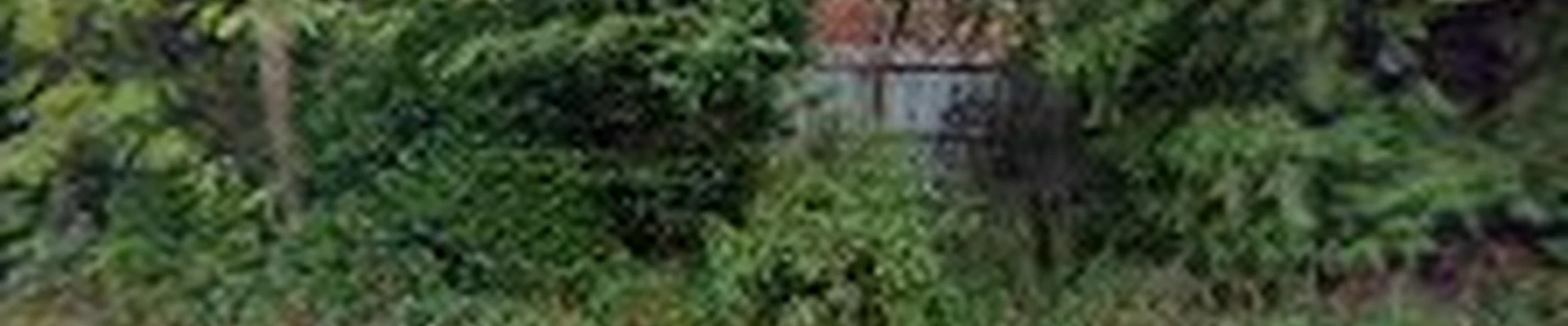 Waag Family Tree Service LLC