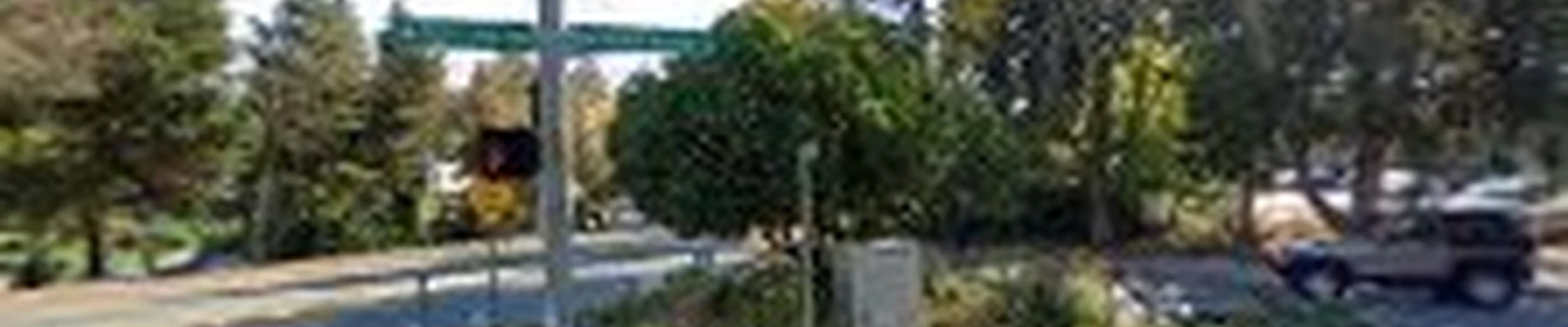 Rodriguez tree services