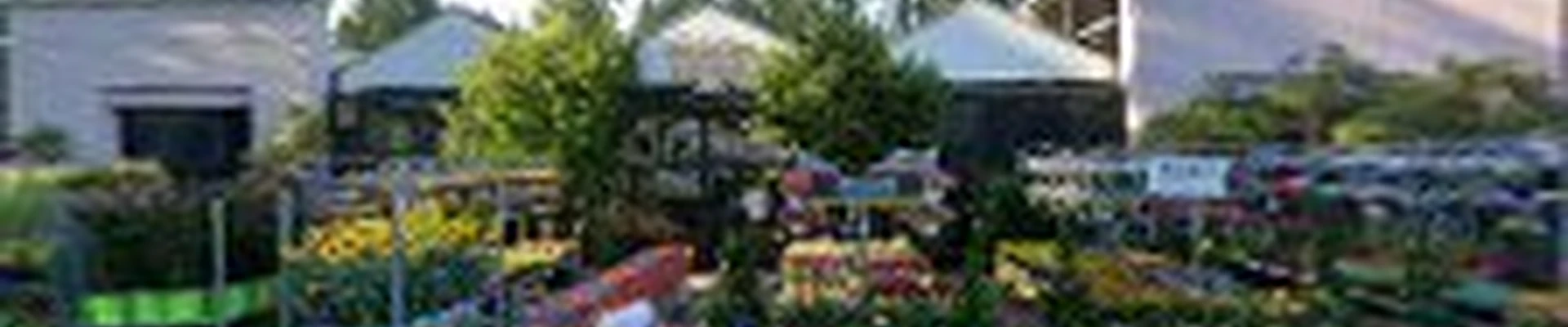 Garden Center at The Home Depot