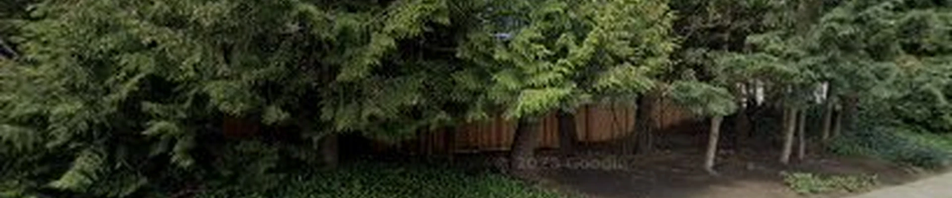 Gray Owl Tree Service