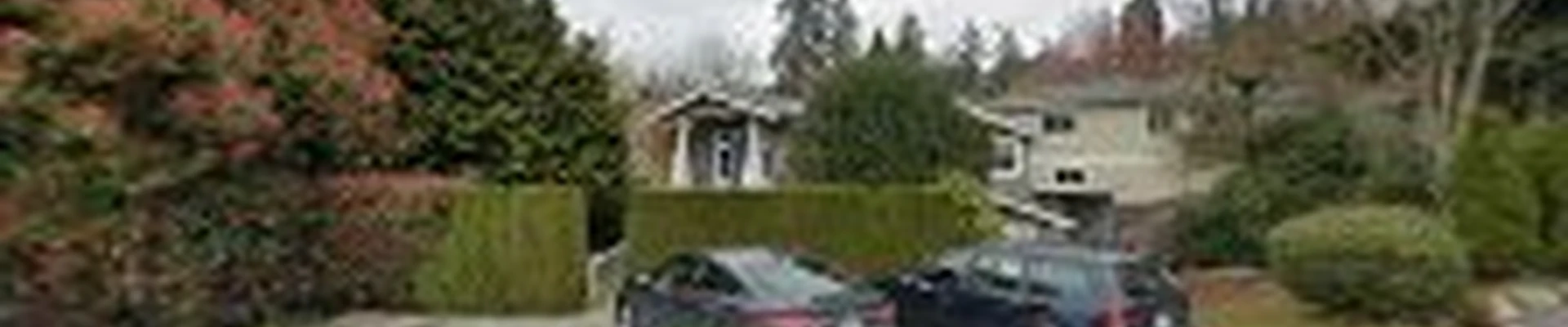 Madrona Tree Care