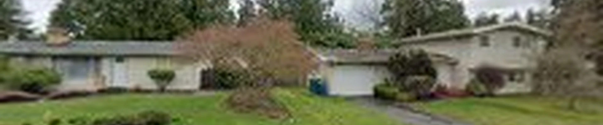 Katy Bigelow, TRAQ ISA Certified Consulting Arborist