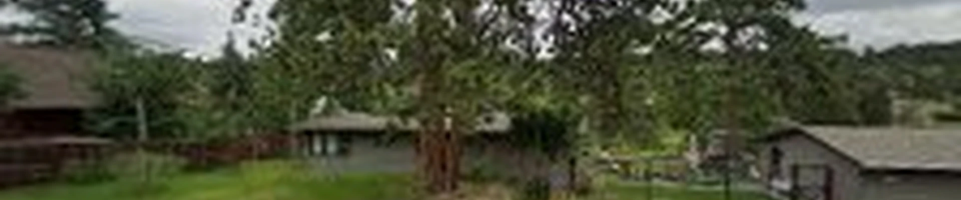 Elk Mountain Tree Services, LLC