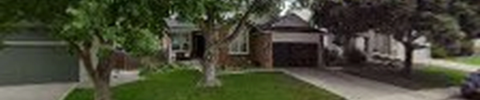 Black Widow Tree Specialists LLC