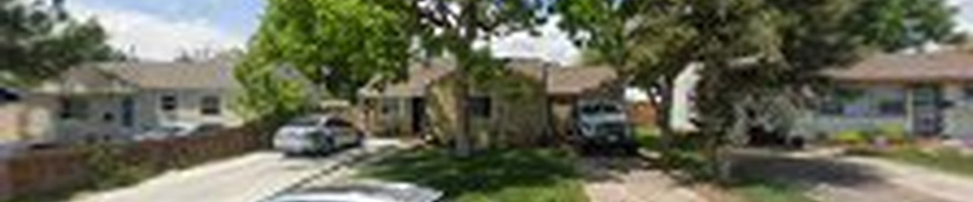 Ismael's Tree Service