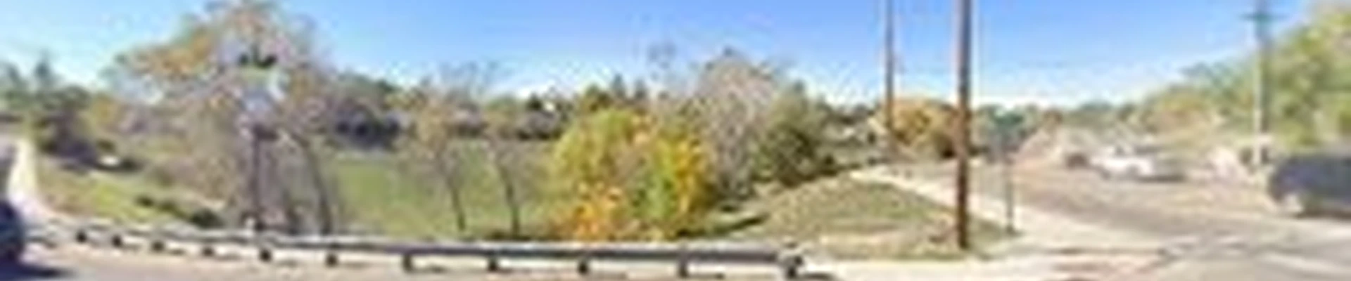 Affordable tree service