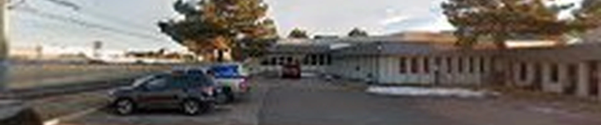 Eden Tree Care