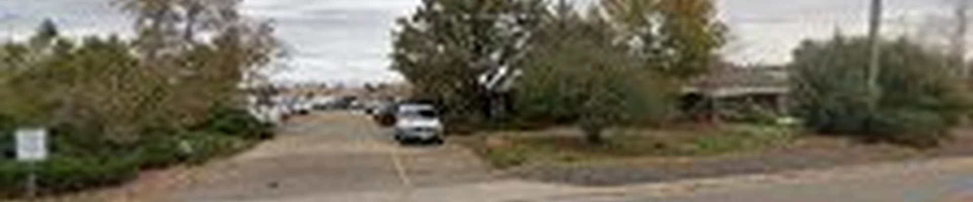 SavATree - Tree Service & Lawn Care
