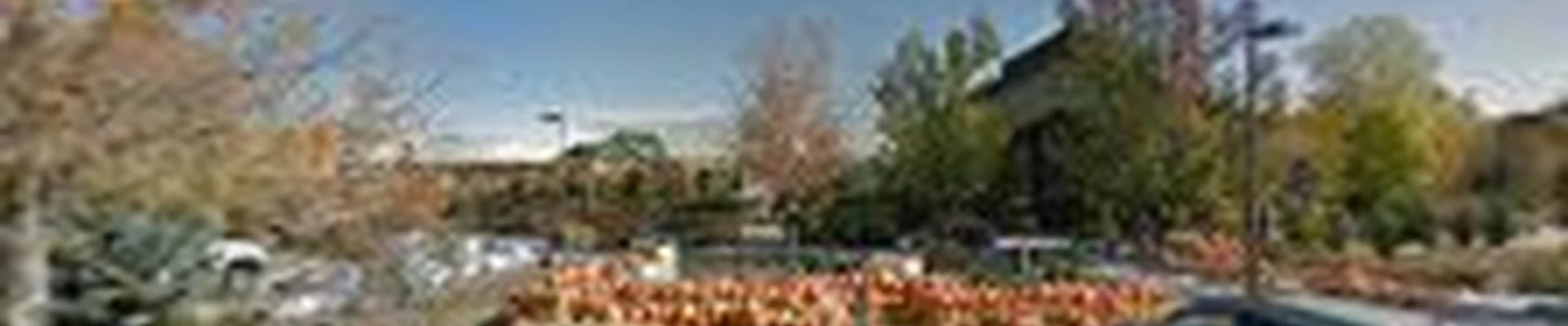 The Gardens Garden Center