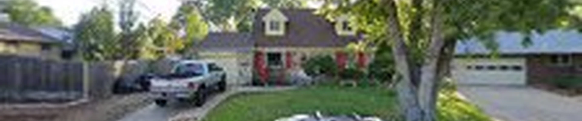 Taylor Tree Removal Company