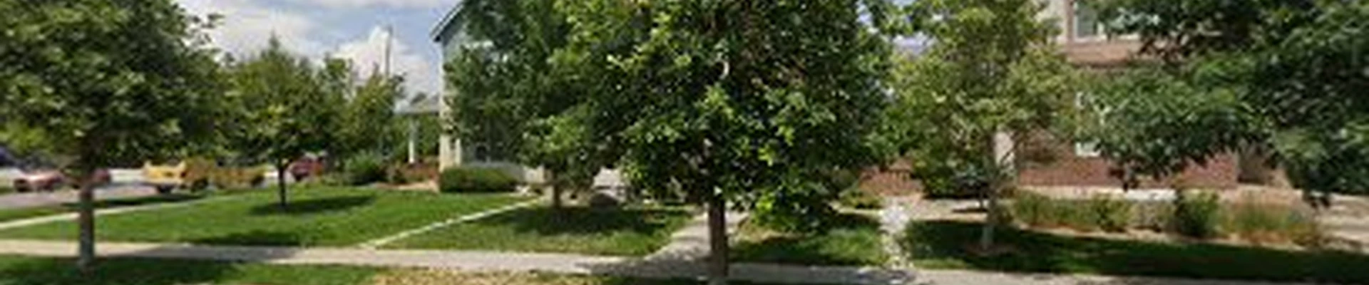 Ojaylis Tree Service