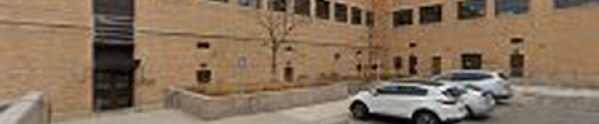 Denver Tree Company