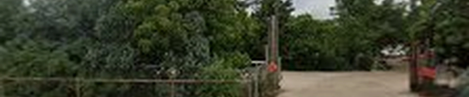 Schulhoff Tree & Lawn Care, Inc