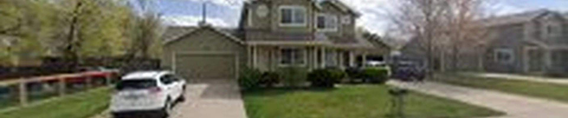 Cambium Tree Care Specialists