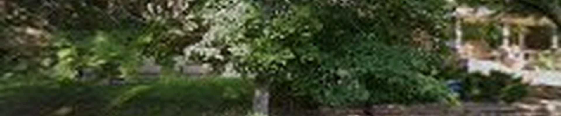 Zepp's Stump Grinding & Removal