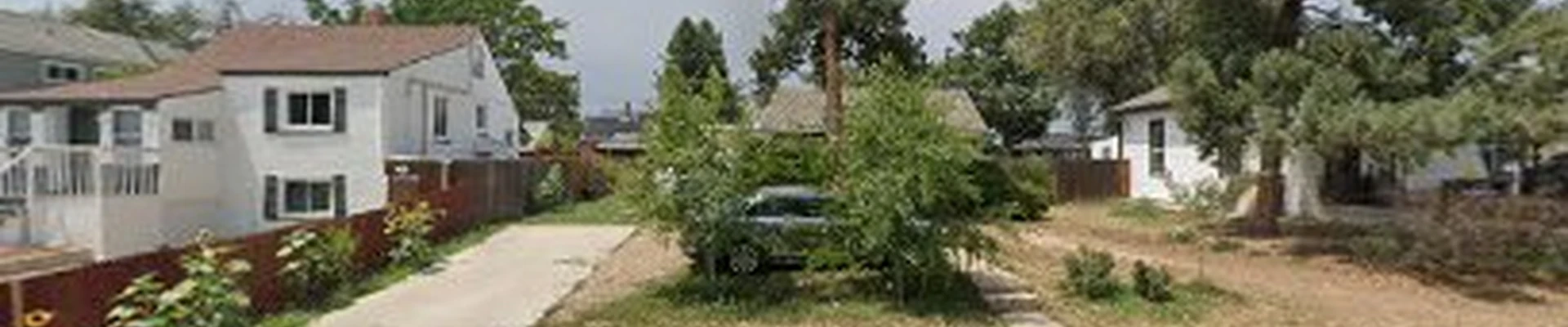 Growing yours greens colorado
