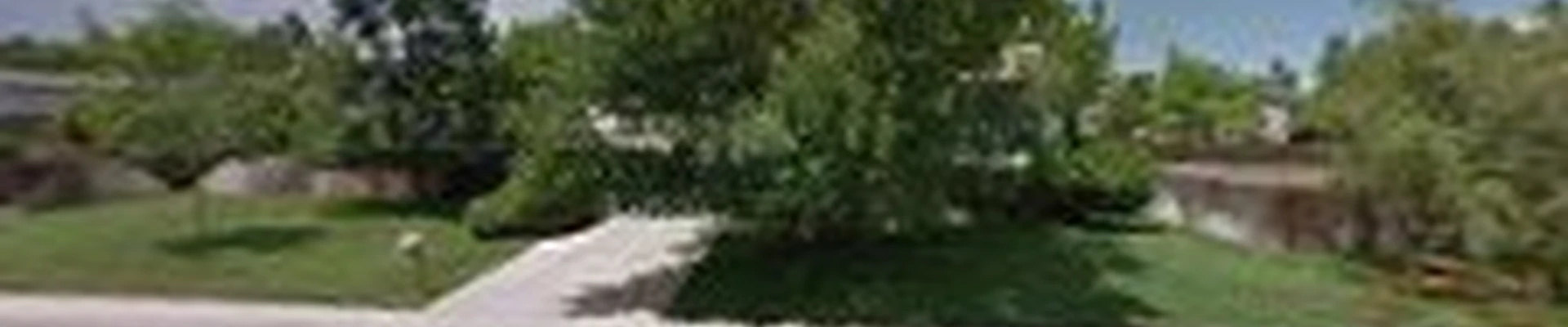 Wild Man's Tree Service