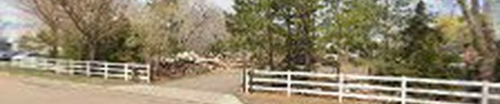 Patriot Tree Company