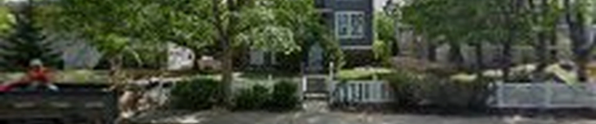 Roots Up Tree Company