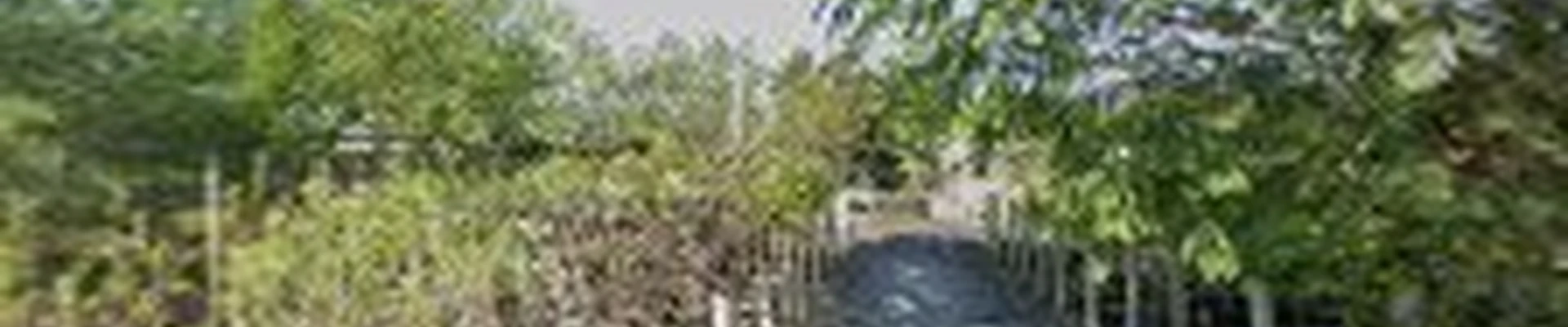 Southern Tree Service