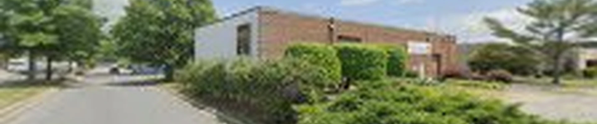 NexGreen Lawn and Tree Care