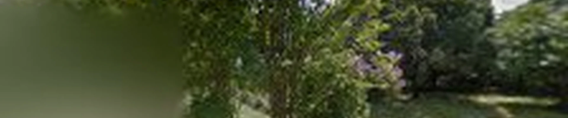 America Tree Service LLC